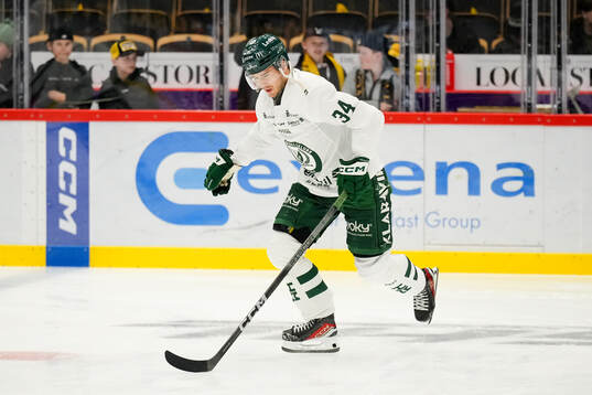 Färjestads Michael Lindqvist