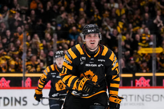 Skellefteås Max Lindholm