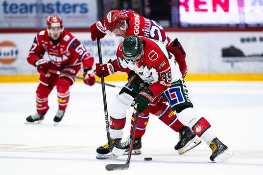 Timrås Filip Hållander och Frölundas Mikael Ruohomaa