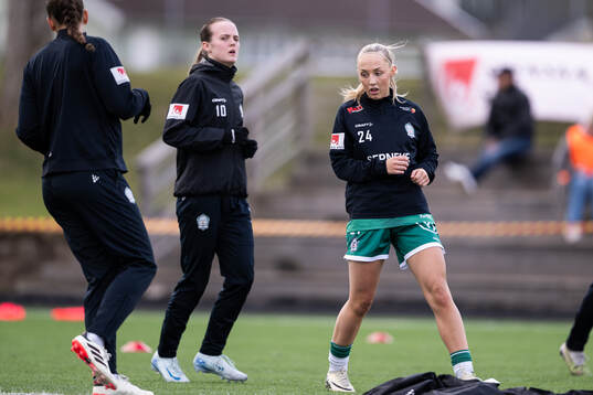 Alingsås Saga Fredgren