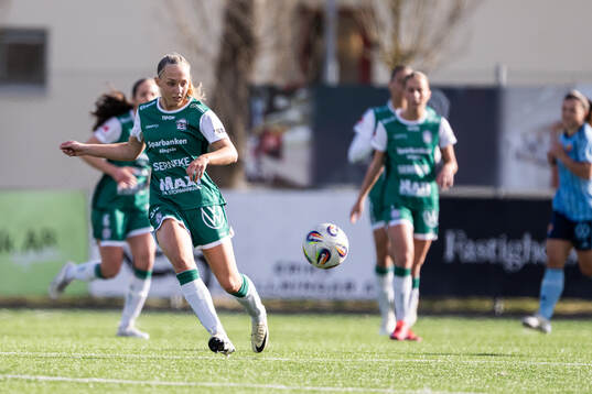 Alingsås Saga Fredgren