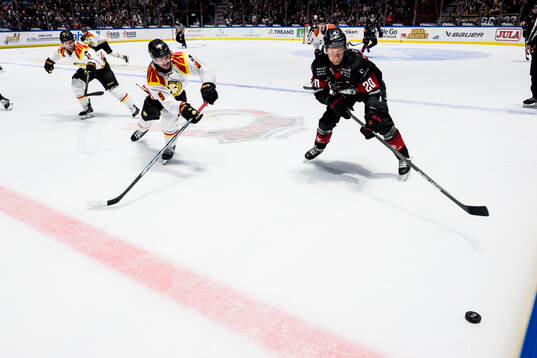 Brynäs Victor Söderström och Malmö Redhawks Thomas Berg