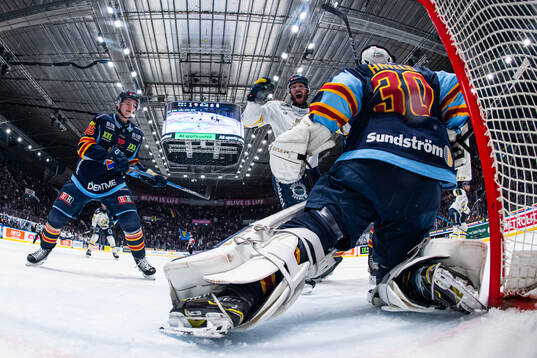 Södertäljes Nolan Stevens jublar