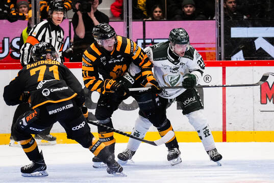 Skellefteås Max Lindholm och Färjestads Joel Nyström