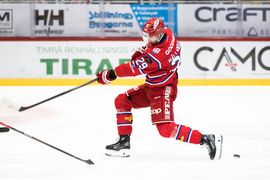 Timrås Filip Hållander