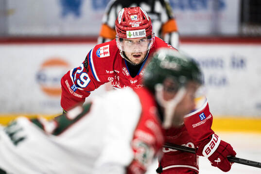 Timrås Filip Hållander