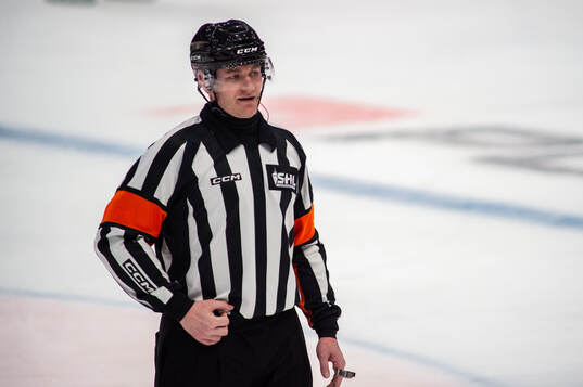 Domare Daniel Eriksson