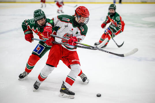 Frölundas Annie Eenfeldt och Modos Lovisa Persson