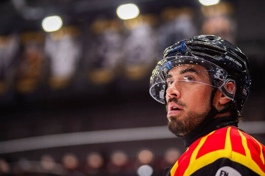 Brynäs Tyler Vesel