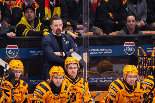 Skellefteås tränare Pierre Johnsson