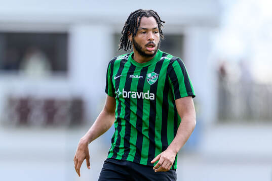 Högaborgs Adam Touray