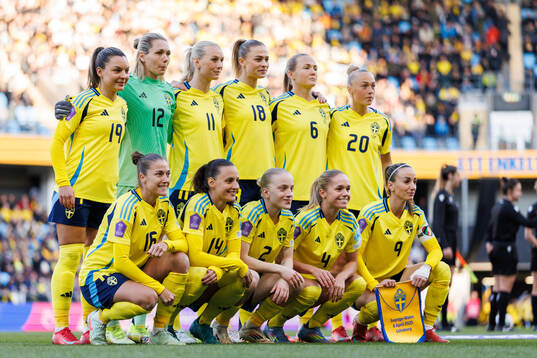  Johanna Rytting Kaneryd , goalkeeper Jennifer Falk , Stina Blackstenius , Fridolina Rolfö , Magdalena Eriksson and Hanna Bennison . Bottom left: Filippa Angeldahl . Nathalie Björn , Anna Sandberg , Hanna Lundkvist and Kosovare Asllani.