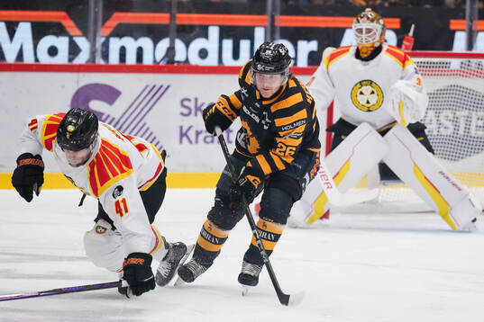 Brynäs Greg Scott och Skellefteås Anton Heikkinen