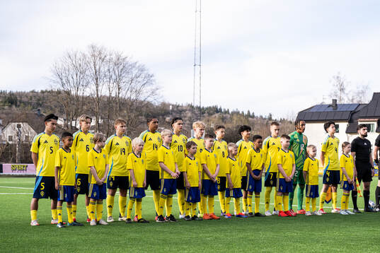 Players of Sweden
