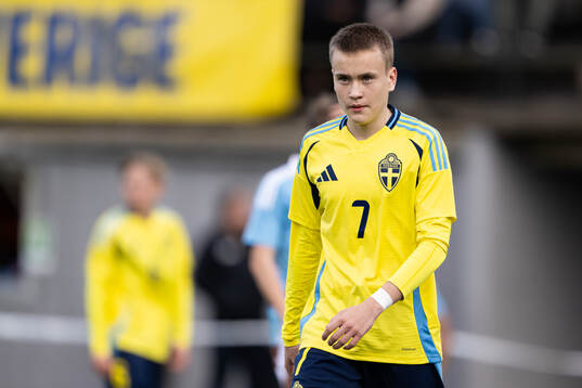 Nikolas Jovanovic of Sweden