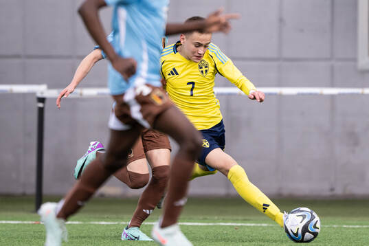 Nikolas Jovanovic of Sweden