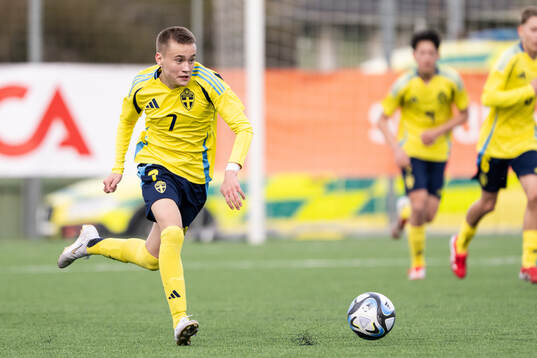 Nikolas Jovanovic of Sweden