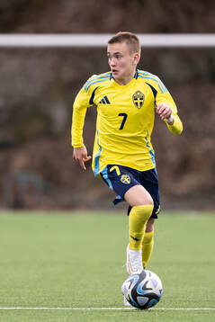 Nikolas Jovanovic of Sweden