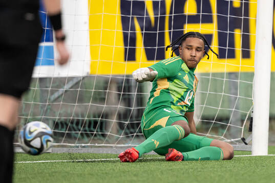 Goalkeeper Benjamin Norell of Sweden