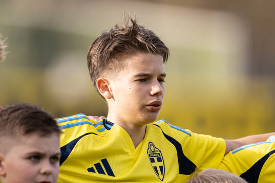 Ludwig Arvidsson of Sweden