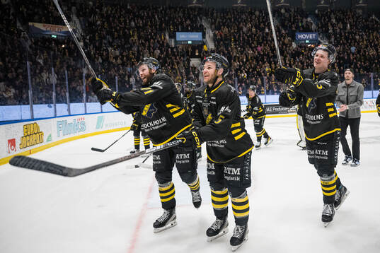 Lukas Zetterberg, Jordan Bellerive och Viggo Gustafsson