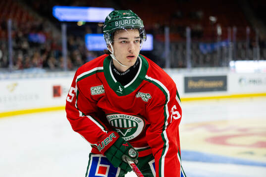 Frölundas David Edstrom