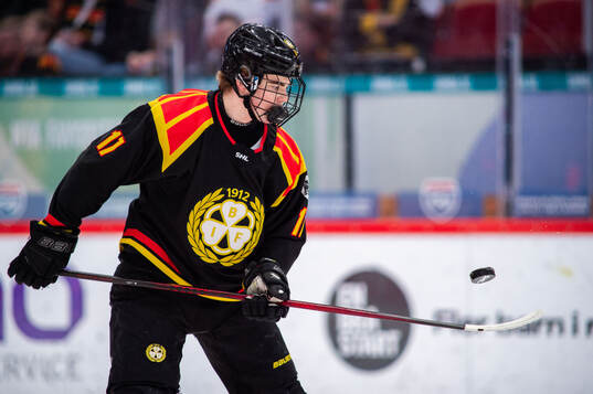 Brynäs Michal Svrcek