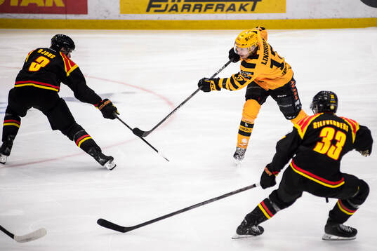 Brynäs Christian Djoos och Skellefteås Pär Lindholm