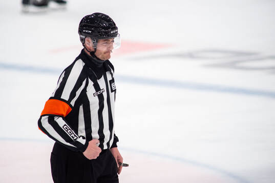 Domare Daniel Eriksson