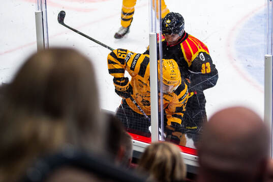 Skellefteås Martins Dzierkals och Brynäs Jakob Silfverberg