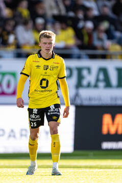 Elfsborgs Ari Sigurpálsson