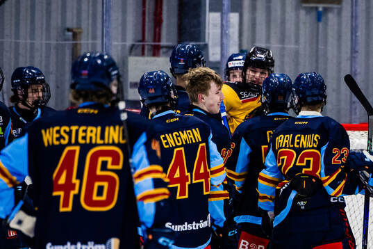 Luleås William Håkansson i ett bråk med Djurgårdens