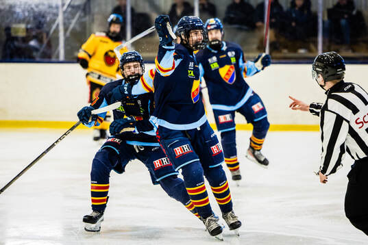 Djurgårdens Marcus Nordmark jublar med lagkamrater