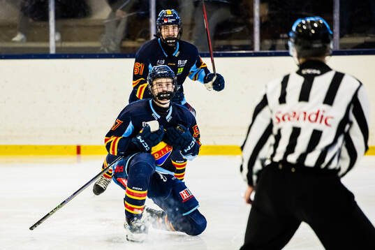 Djurgårdens Marcus Nordmark jublar med lagkamrater