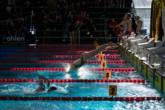 Swimmers