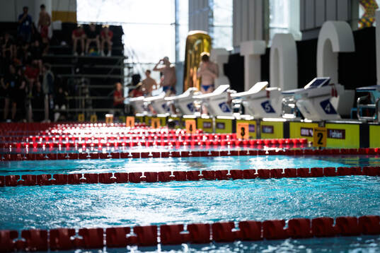 Swimmers