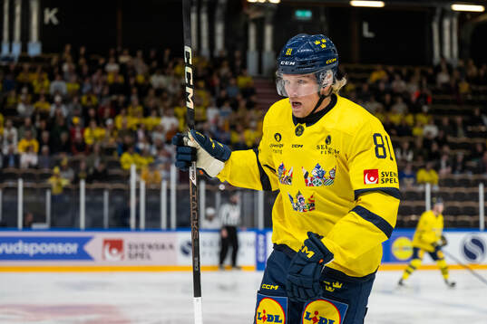 Marcus Sylvegård of Sweden
