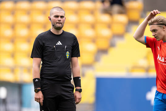 Domare Rasmus Hermansson