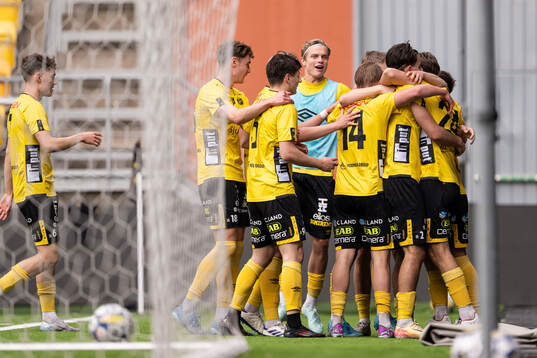 Elfsborgs spelare jublar