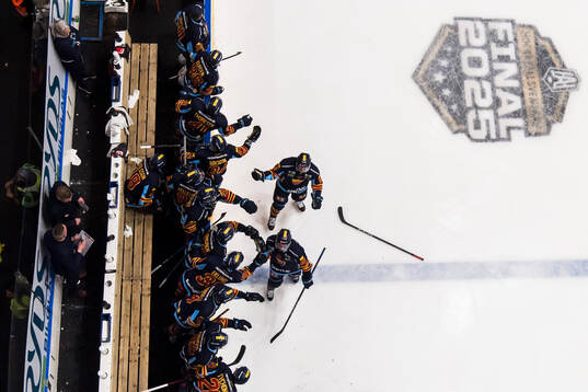 Djurgårdens Arvid Costmar och Filip Eriksson jublar