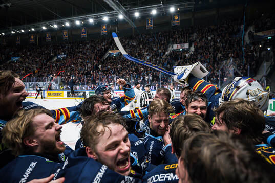 Djurgårdens målvakt Hugo Hävelid och Mattias Hävelid