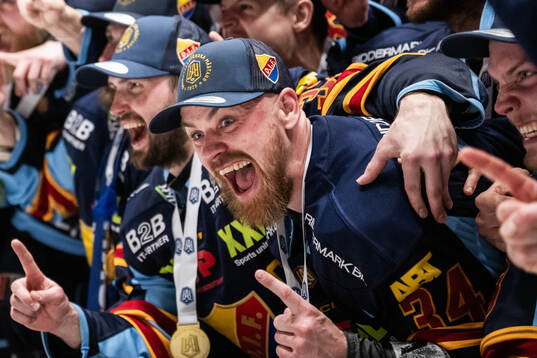 Djurgårdens Daniel Brodin jublar