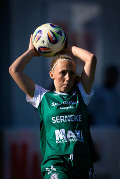 Alingsås Saga Fredgren