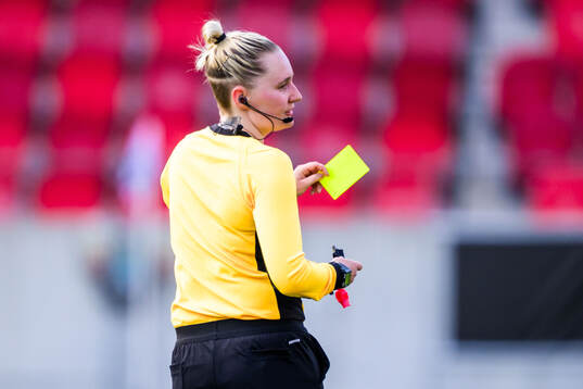 Domare Isabelle Svensson