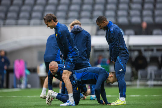 Albin Ekdal, Piotr Johansson and Zakaria Sawo