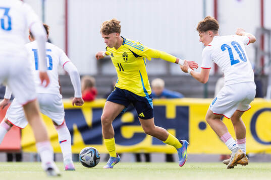 Dion Mehmeti of Sweden and Mikulas Luzny of Czech Republic