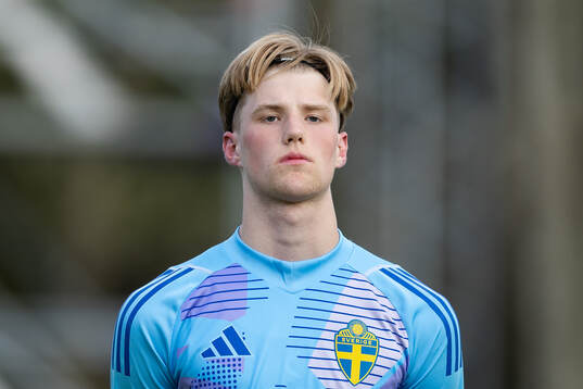 Goalkepper Svante Stangenberg of Sweden
