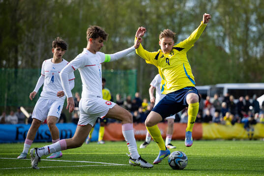 André Thomas Sivok of Czech Republic and Leonel Eklund of