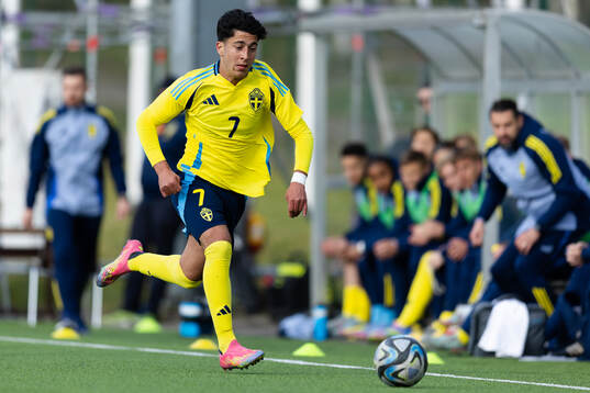 Rayan Bardghji of Sweden