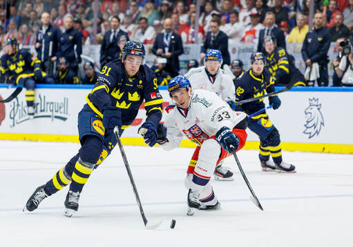 Leo Carlsson of Sweden and Jan Kostalek of Czech Republic
